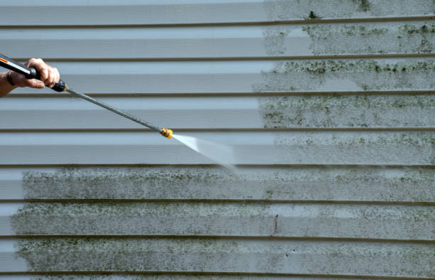Best Gutter Cleaning  in Corydon, IA